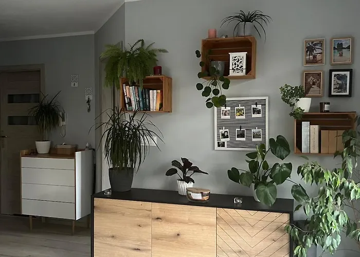 Apartamento Jagodno *